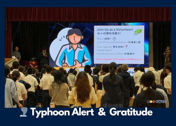 Typhoon's Arrival